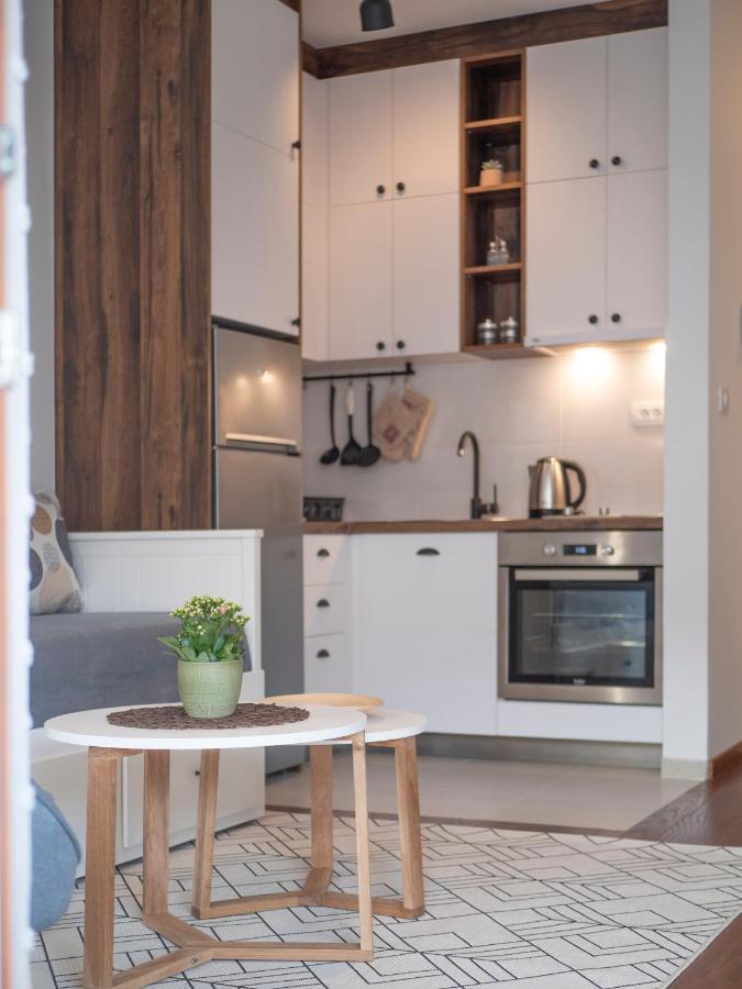 Cozy Studio Apartment Mila Podgoriţa Exterior foto